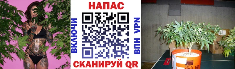 Названия наркотиков Бузулук Амфетамин Мефедрон COCAIN ГАШИШ Каннабис
