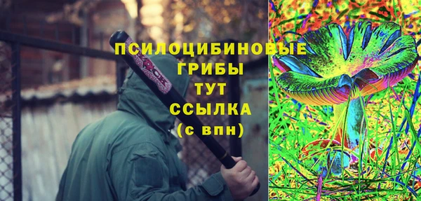 индика Беломорск