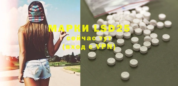 индика Беломорск