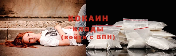 скорость Богданович