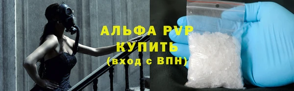 индика Беломорск