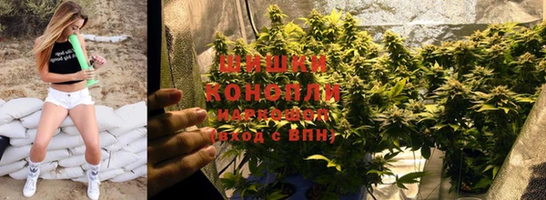 индика Беломорск