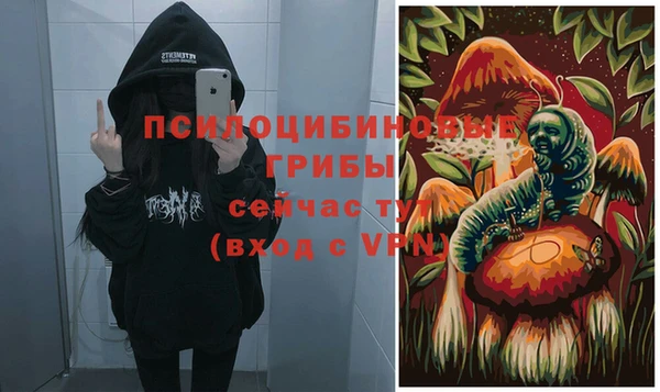 спайс Богородск