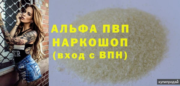 индика Беломорск