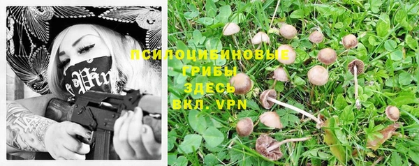 первитин Белокуриха