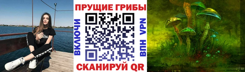 Галлюциногенные грибы Psilocybe  Бузулук 
